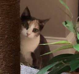 Marie image 3