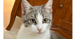 Donny image 2