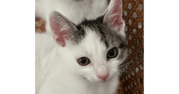 Dannie image 2