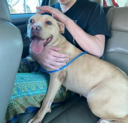 Monday image 4