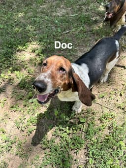 Doc image 4