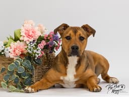Quincy image 1