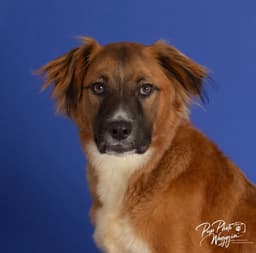 Freya image 1