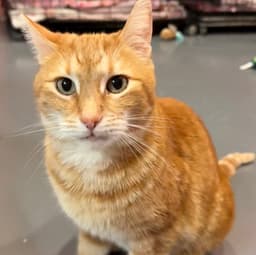 Trucker Was Tucker image 3