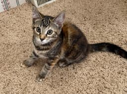 Margo In Foster image 1