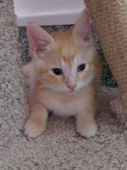 Marty In Foster image 1
