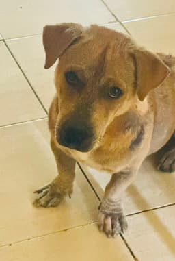 Mister Mateo image 1