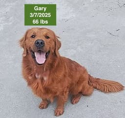 Gary image 1