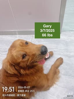 Gary image 2