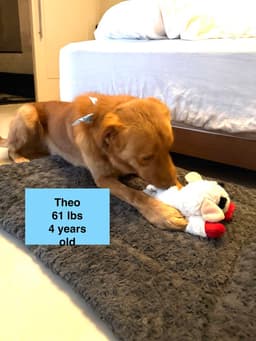 Theo image 3