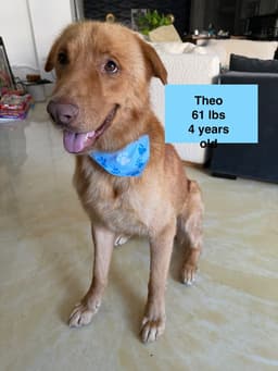 Theo image 4