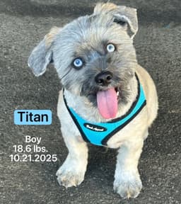 Titan image 1