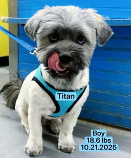 Titan image 2