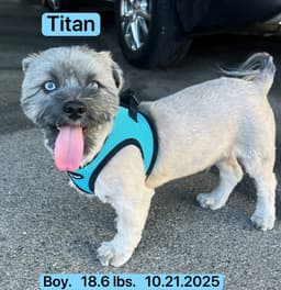 Titan image 3