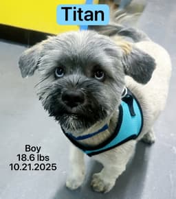 Titan image 4
