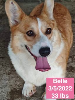 Belle image 1