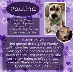 Paulina image 1