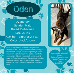 Oden image 1