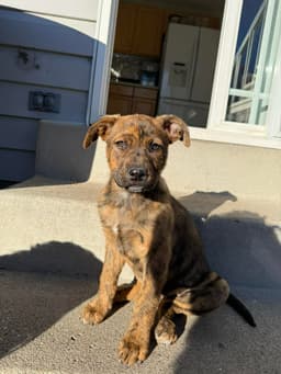 Marlee image 3
