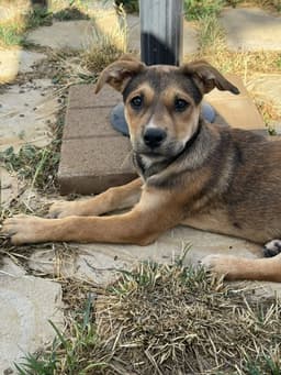 Rita image 1