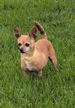 Tina image 4