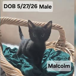 Malcolm  Ellie image 1