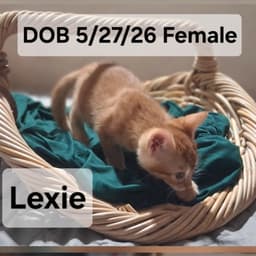 Lexie  Maisie image 1