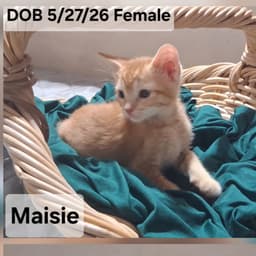 Maisie  Lexie image 1