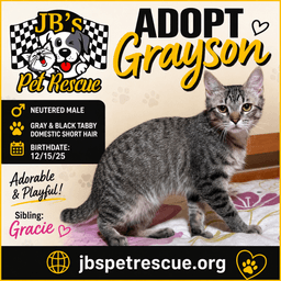 Grayson image 1