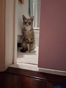 Charlie image 2