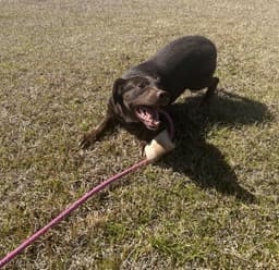 Lilah image 2