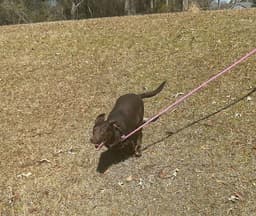 Lilah image 3