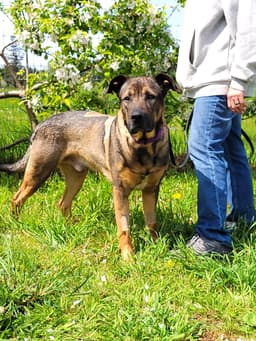 Max image 3