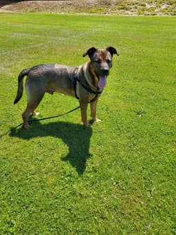 Max image 1