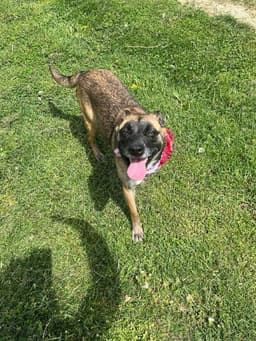 Izzy image 3