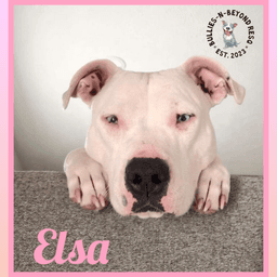 Elsa image 2