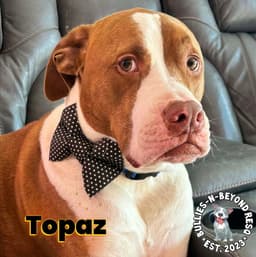 Topaz image 1