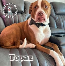 Topaz image 2