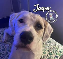 Jasper image 3