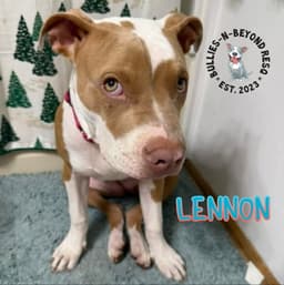 Lennon image 2