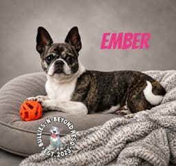 Ember image 1