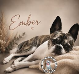 Ember image 2