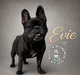 Evie image 1