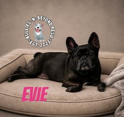 Evie image 2