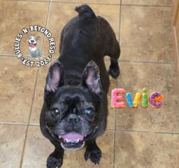Evie image 3