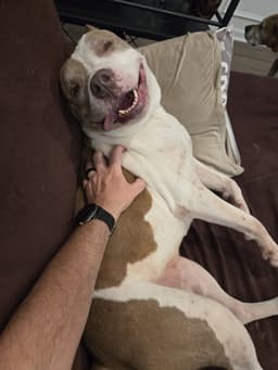 Rosie image 2