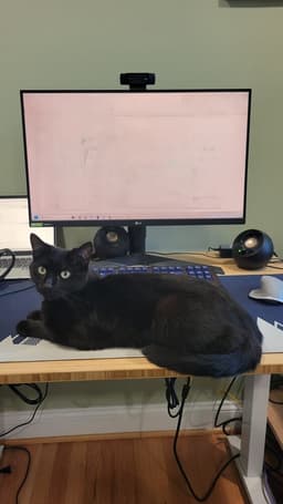 Nova image 2
