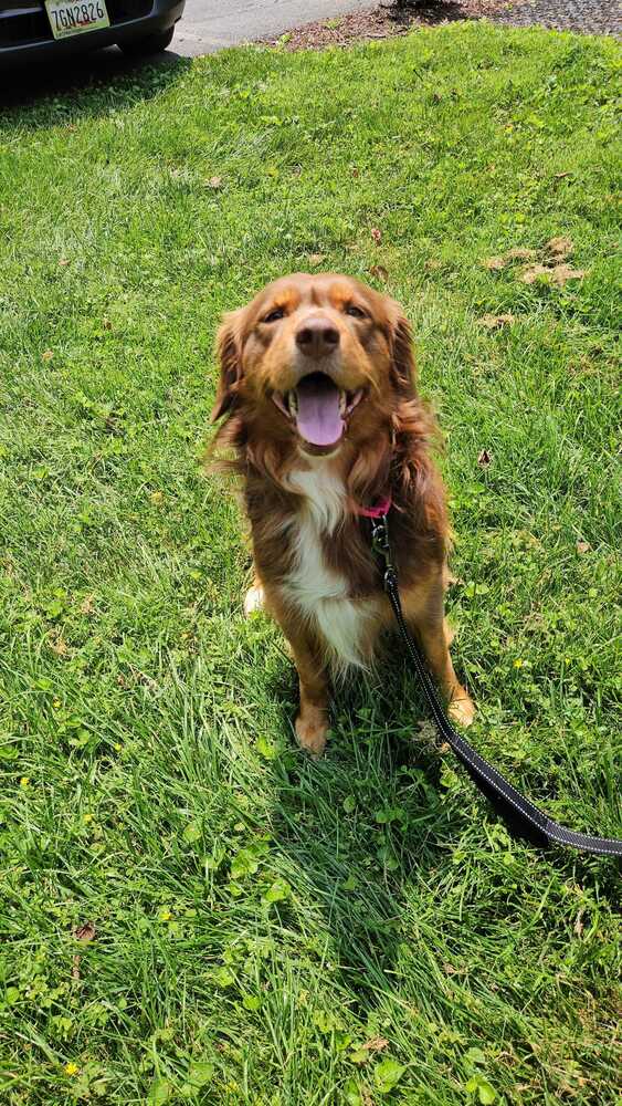 Murphy