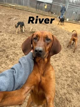 River image 1