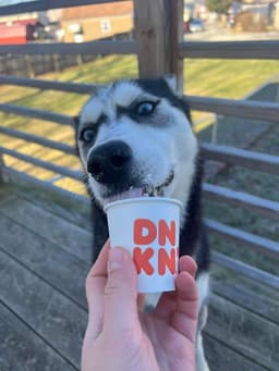 Kira image 3
